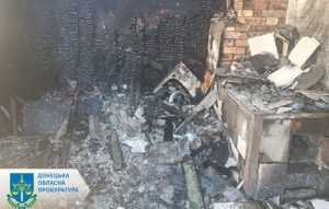 На Донеччині судитимуть жінку, через недбалість якої загинула 3-річна дитина