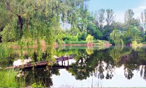 Атмосферні фото озера Михайлівське у Слов’янську (репортаж)