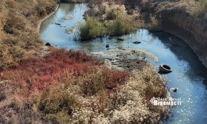Річка Колонтаївка у Слов’янську на межі вимирання: у чому її важливість та чим загрожує такий стан