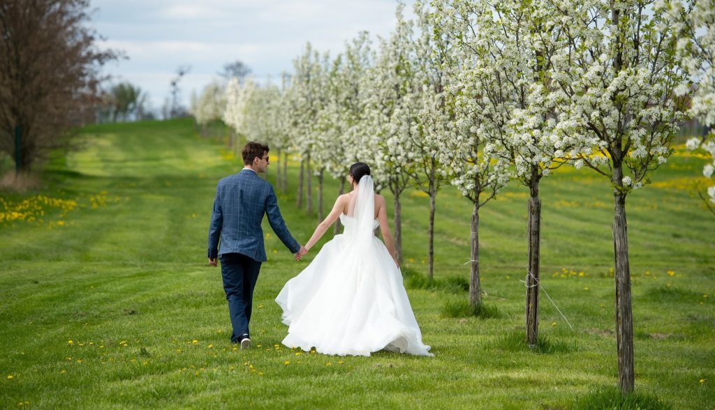У «Дії» будуть свідоцтва про шлюб, розлучення й зміну імені