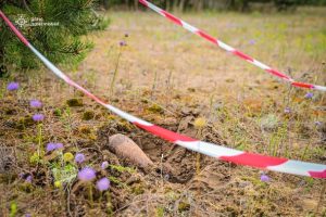 Ліси Донеччини приховують смертельну небезпеку. Знайдено мінометну міну калібру 82 мм