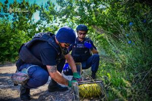 Боротьба за світло на Донеччині: піротехніки ДСНС обстежують території біля ліній електропередач