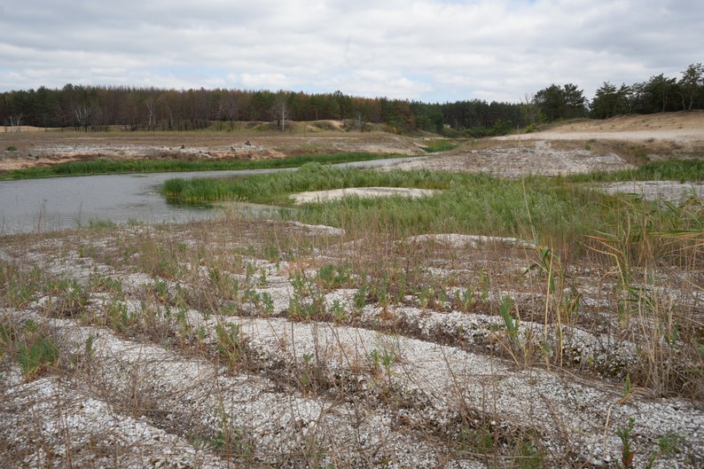 Греблю Оскільського водосховища, зруйновану російськими військами у березні 2022 року, планують відновити.