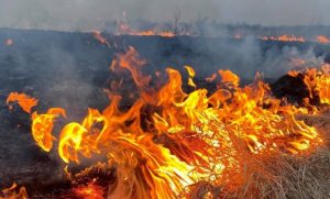 У Донецькій області попереджають про надзвичайну пожежну небезпеку 5 класу