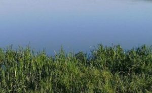 Підліток потонув під час купання у ставку на Донеччині