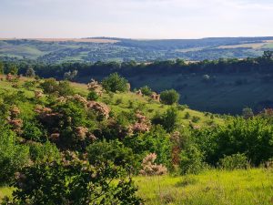 Як виборювали новий заказник «Хрестищенські Пагорби» на Донеччині (деталі та фото)