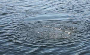 Олександрівка: рятувальники дістали з водойми тіло чоловіка