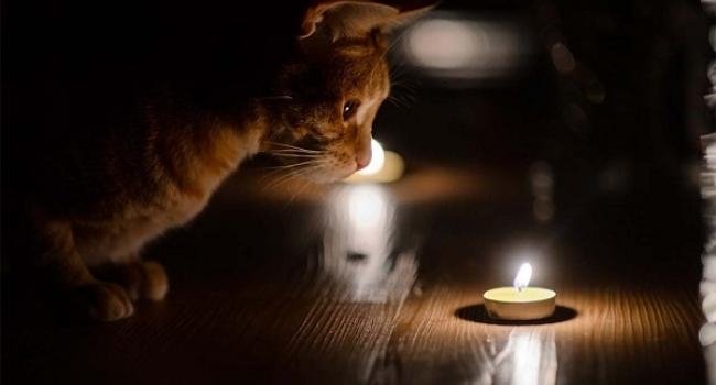 Донецька область: близько 150 населених пунктів залишаються без електрики через ворожі обстріли