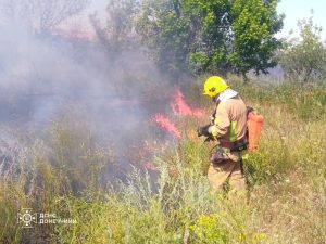 Пожежа у парку “Святі гори”: наслідки обстрілів у Донецькій області