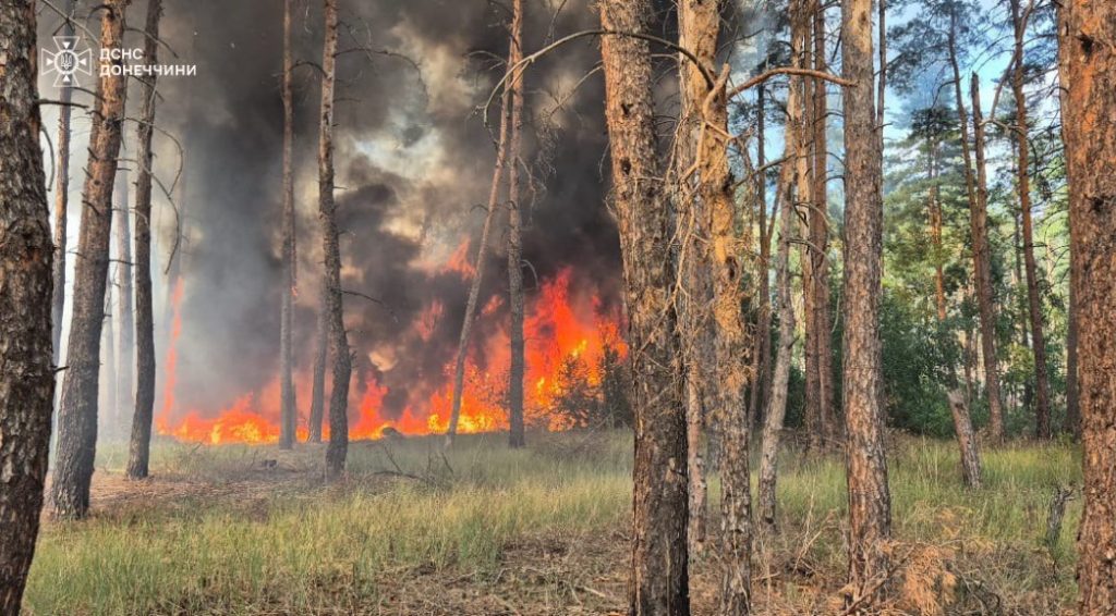 Знищення або пошкодження лісових масивів – це злочин з адміністративною та кримінальною відповідальністю