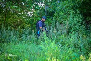24 одиниці вибухонебезпечних предметів вилучили піротехніки на Донеччини