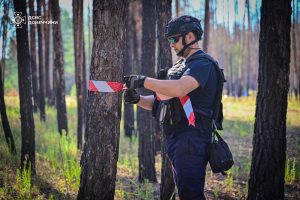 На Донеччині виявили протипіхотну міну ПФМ-1 “Пелюстка”: загроза для життя та здоров’я громадян