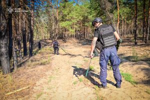 30 одиниць вибухонебезпечних предметів за добу: ДСНС розміновує «Святі гори» (фото)