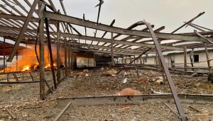 На Донеччині через ворожі обстріли знищені 1,2 мільйона птиці та 25 тисяч свиней – ОДА