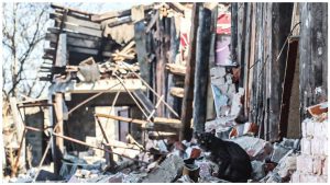 Епідемія холери, нерозібрані завали: яка ситуація в Авдіївці після захоплення росіянами