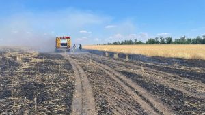 Російські обстріли знищили понад 700 гектарів пшениці на Донеччині з початку року