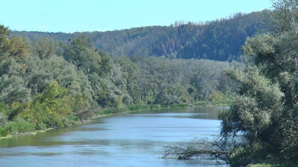 Надзвичайний рівень пожежної небезпеки на Донеччині: Дотримуйтесь правил безпеки!