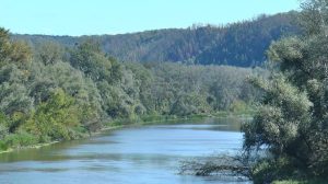 Надзвичайний рівень пожежної небезпеки на Донеччині: Дотримуйтесь правил безпеки!