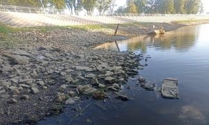 Стало відомо, чому обміліла річка Казенний Торець у Краматорську: влада обіцяє підняти рівень води