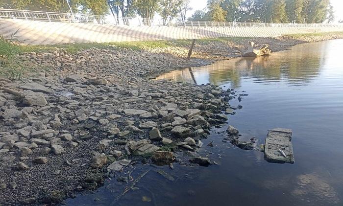 Стало відомо, чому обміліла річка Казенний Торець у Краматорську: влада обіцяє підняти рівень води