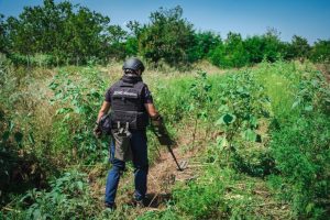 У ДСНС розповіли, яку частину території Донеччини розмінували за шість місяців цього року