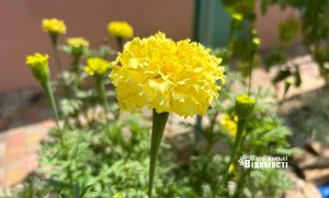 Прогноз погоди для Слов’янська на 30 липня