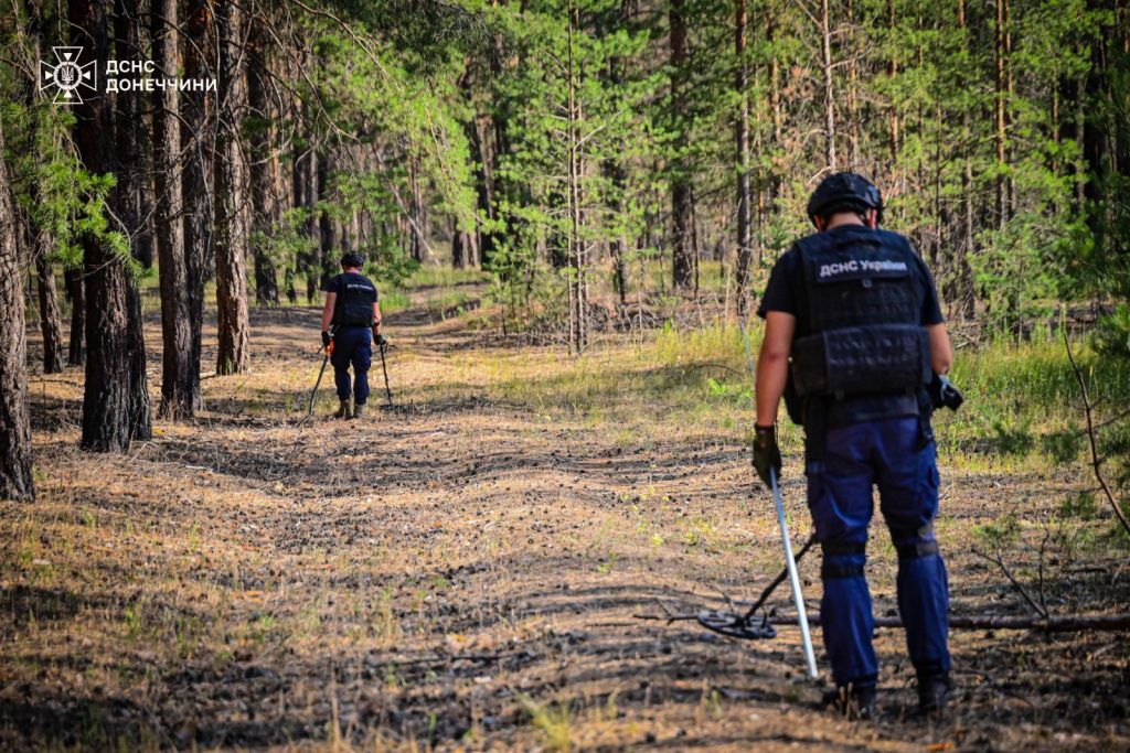 Піротехніки ДСНС продовжують обстежувати землі та акваторії Донеччини