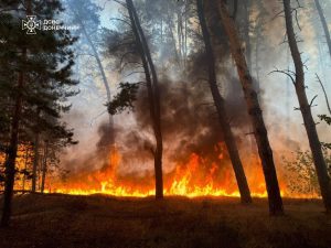 На Донеччині попереджають про надзвичайну пожежну небезпеку 5 класу