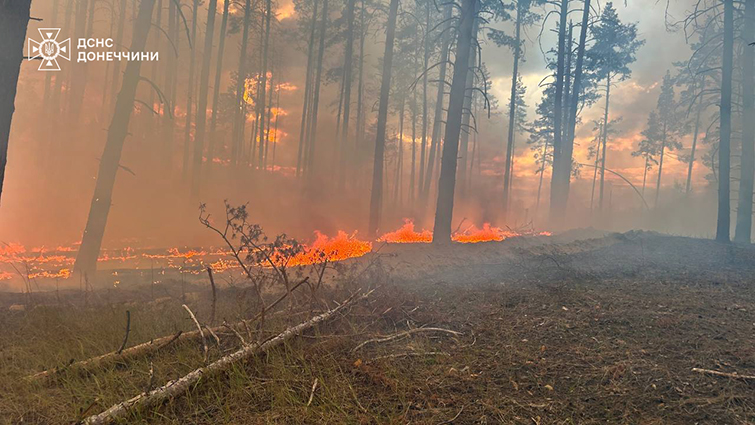 У Лимані горів ліс на території 19 га