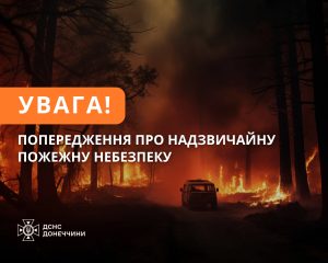 На Донеччині триває пожежна небезпека!