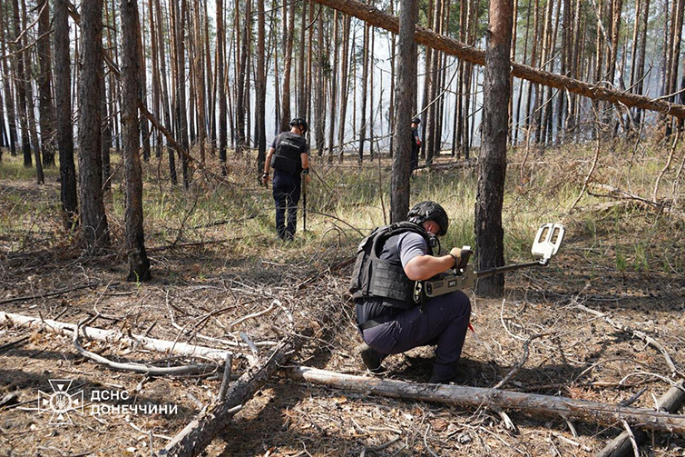 727 одиниць вибухонебезпечних предметів виявили та знищили піротехніки ДСНС за минулу добу