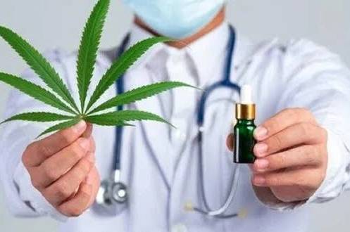 В Україні легалізували медичний канабіс. Що це змінює
