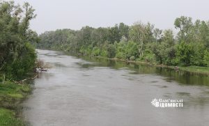 Який стан води у Сіверському Донці