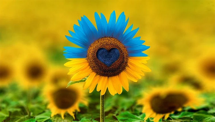 Найкращі привітання з Днем незалежності: вірші, проза та святкові листівки