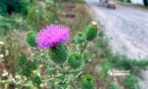 Прогноз погоди для Слов’янська на 5 серпня