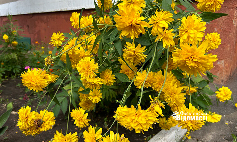 Прогноз погоди у Слов’янську на 6 серпня 2024 року