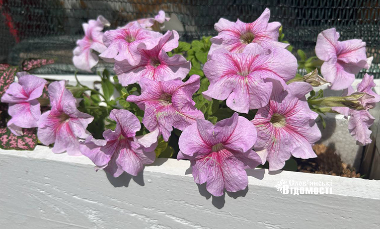 Прогноз погоди для Слов’янська на 10 серпня