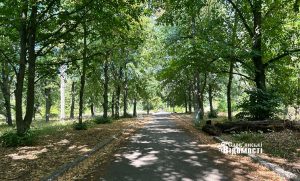 Мінлива хмарність та надзвичайна пожежна небезпека: прогноз погоди у Слов’янську на 15 серпня