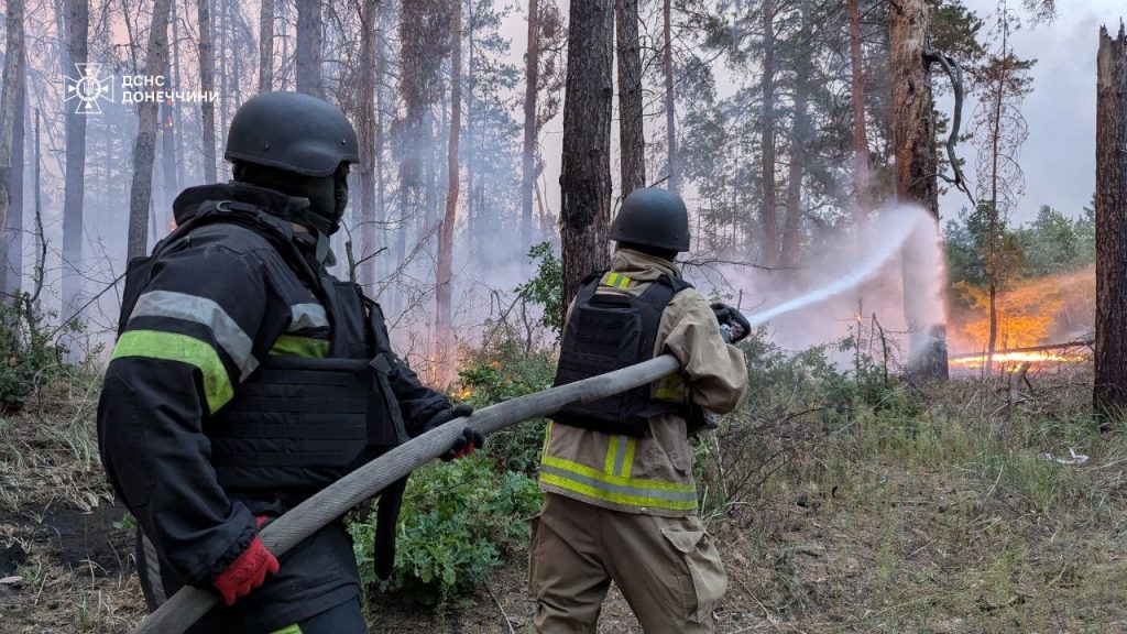 Святі гори палають третю добу: Рятувальники Донеччини продовжують боротьбу з масштабною пожежею