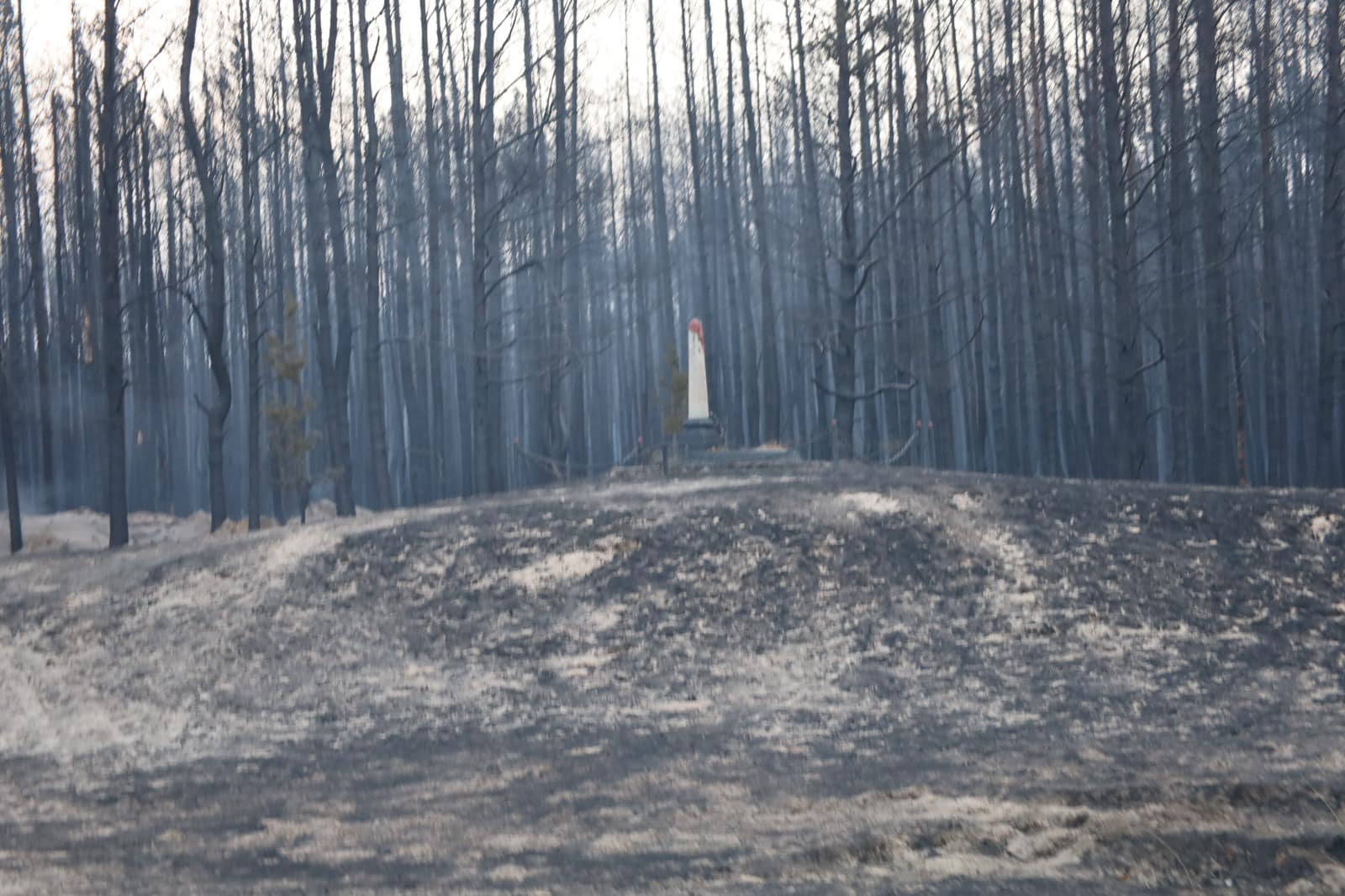 458278070 1038802148251066 925112721819753009 n