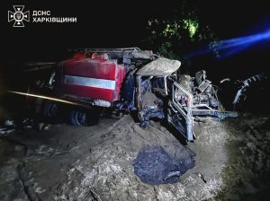 Троє рятувальників поранені на Донеччині під час гасіння лісової пожежі