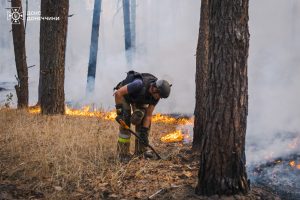 Надзвичайна пожежна небезпека на Донеччині: рятувальники закликають до обережності!