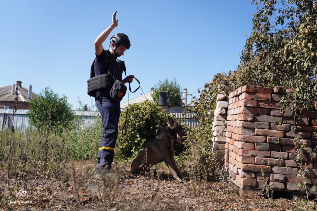   На Донеччині у розмінуванні територій допомагають собаки-детектори