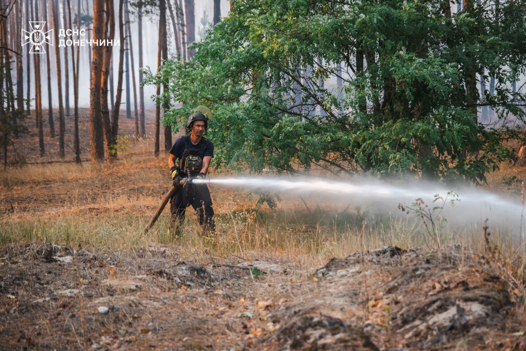 Пожежа на Лиманщині: скільки вдалось загасити та які прогнози щодо остаточної ліквідації вогню