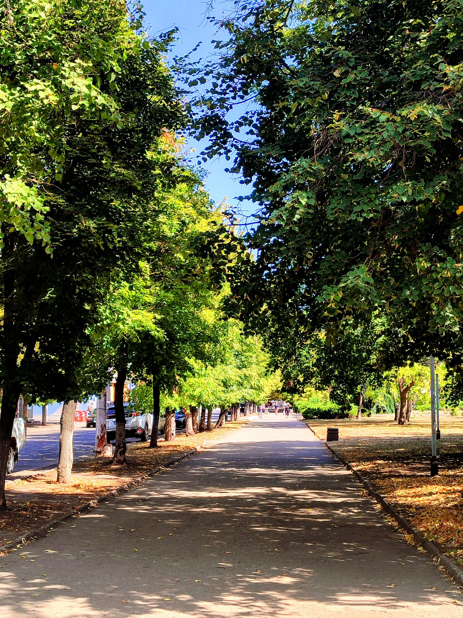 460467818 1885314091975130 204074447354918383 n