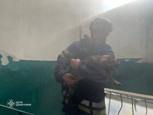 Надзвичайники врятували домашніх улюбленців з вогню