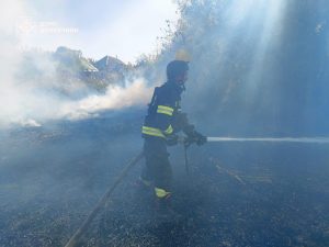 Україна у вогні. Чому ситуація з пожежами погіршується?