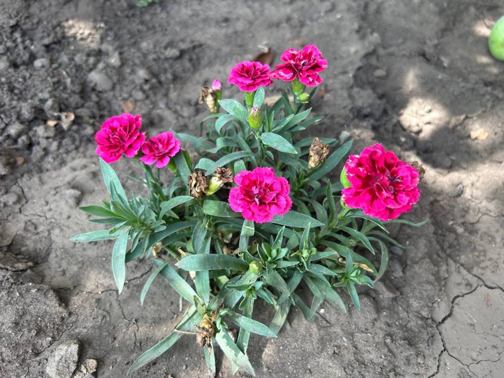 Погода у Слов’янську 19 вересня: Мінлива хмарність