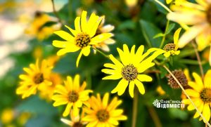 Прогноз погоду у Слов’янську на 13 вересня