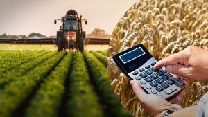 Підтримка аграріїв Донеччини: як отримати субсидію в умовах війни